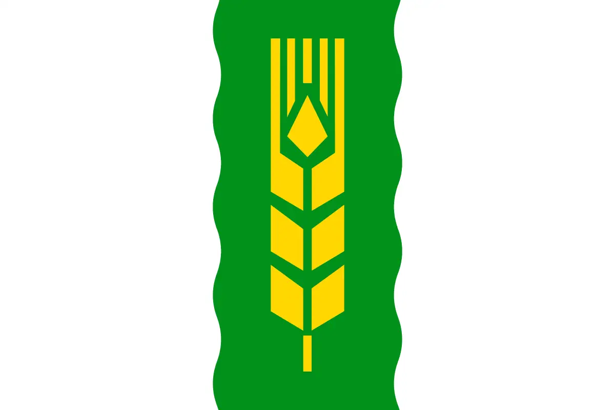 Флаг: Марьяновский район